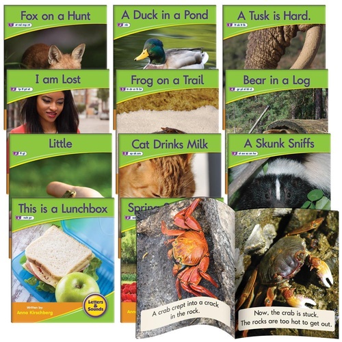 Decodable Readers - Set 1 - Phase 4 - Blends NON-FICTION by Junior Learning